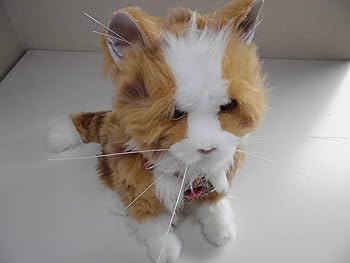 【希少品】　夢ねこハート　動作確認済み 希少品】 夢ねこハート 動作確認済み 希少品】 夢ねこハート